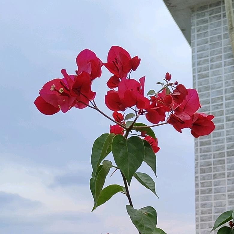 书儿姐好物