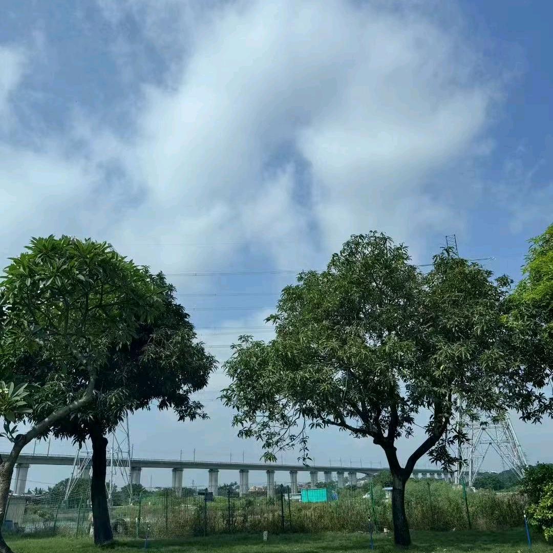 用户2025
