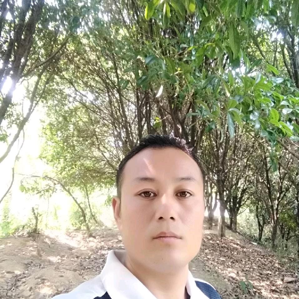 战✨️神✨️归✨️来