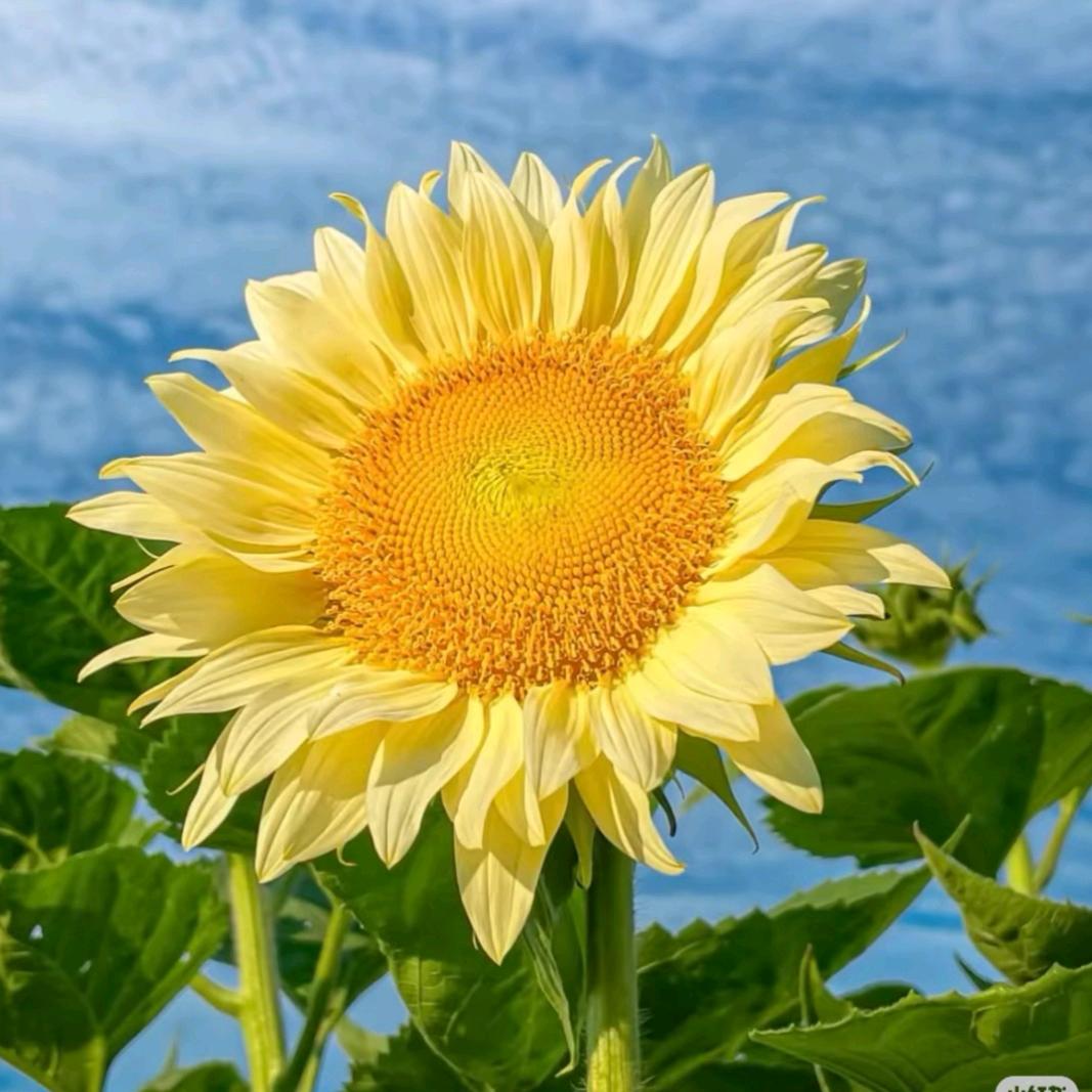 遵化益众浩瀚教育李老师