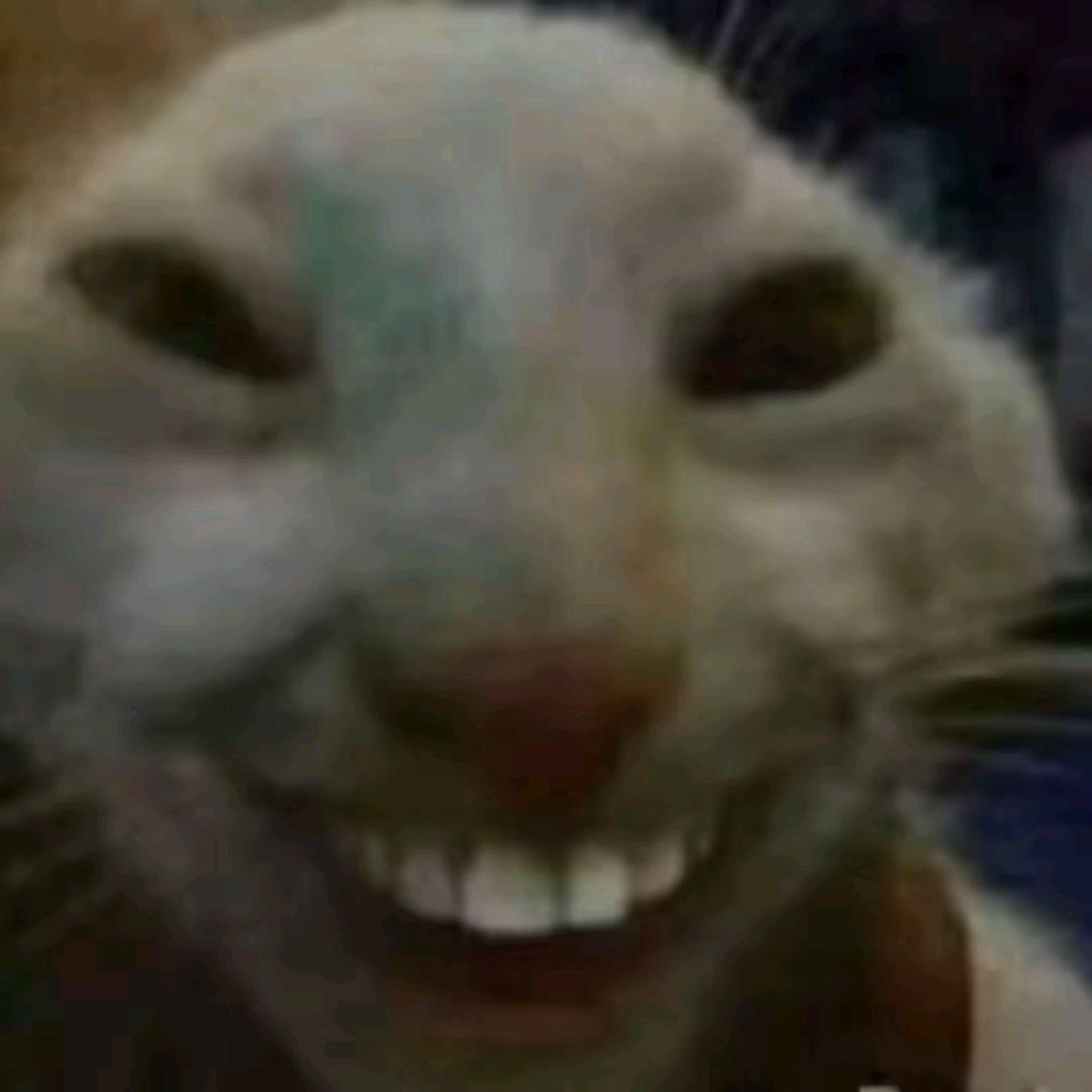 i唐