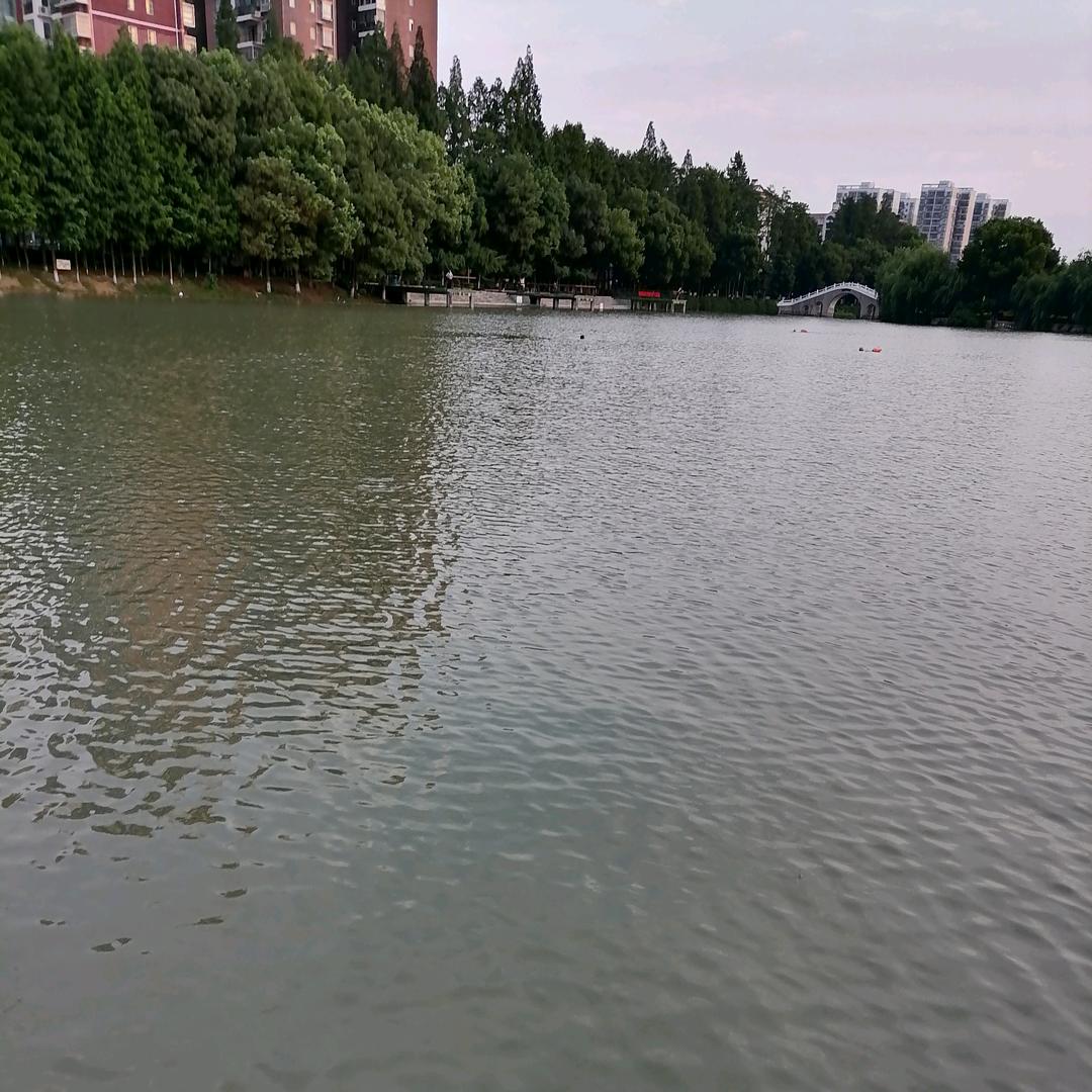 前方