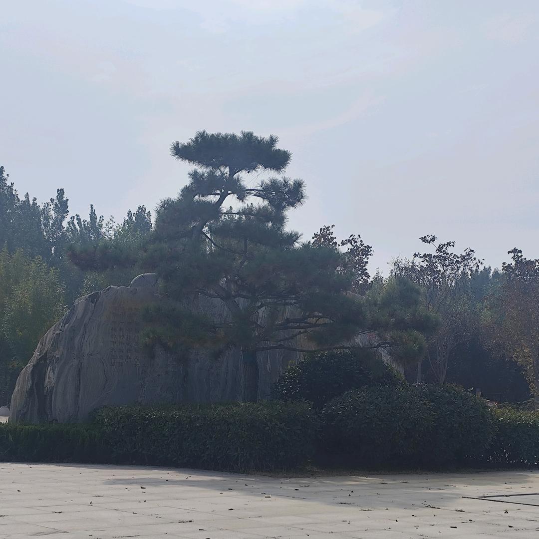 小杜爱魔术
