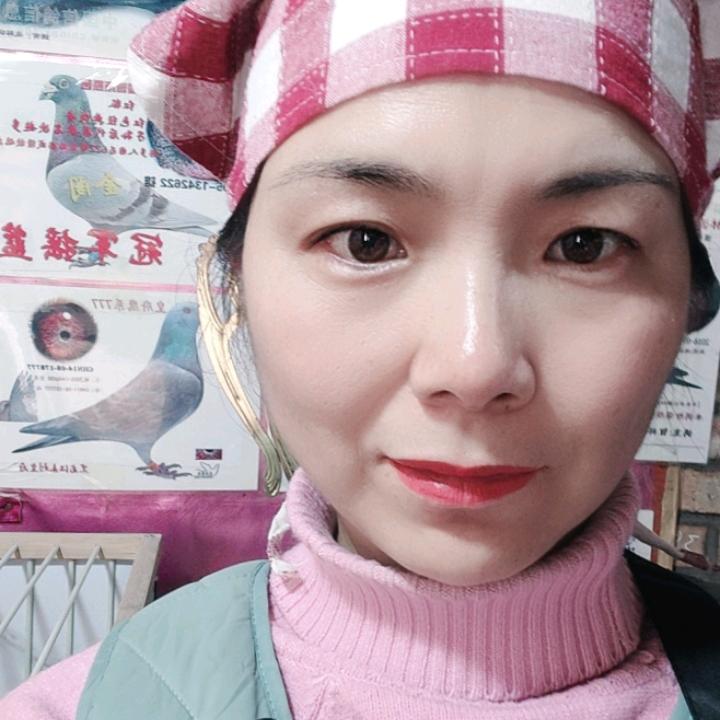 爱尚赛鸽