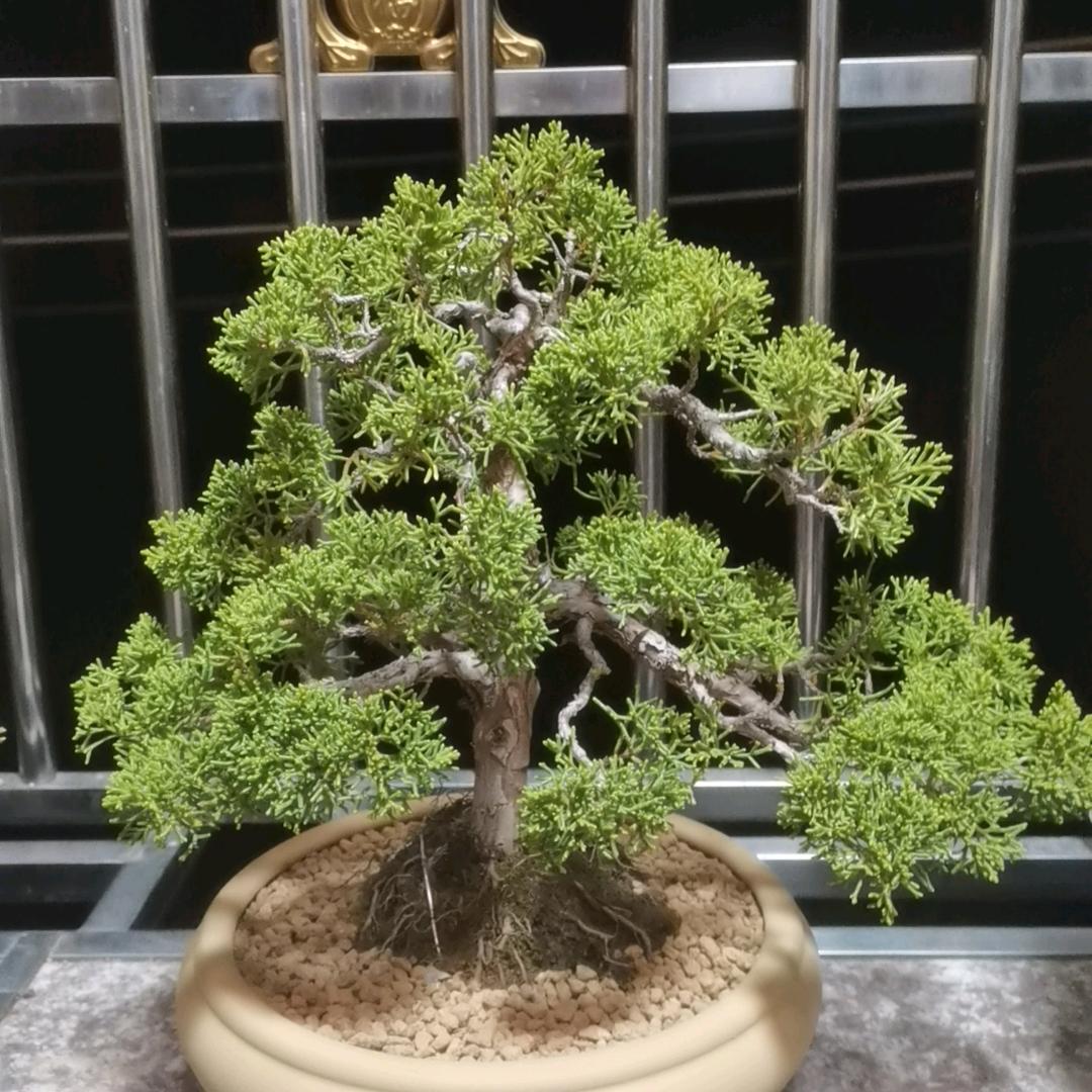一生所有