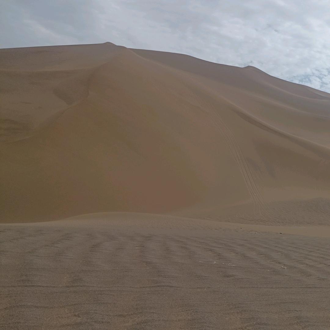 谁明浪子心