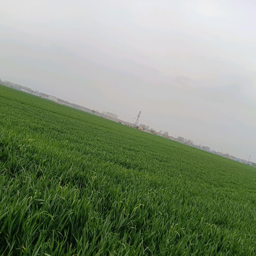 用户5626571295712