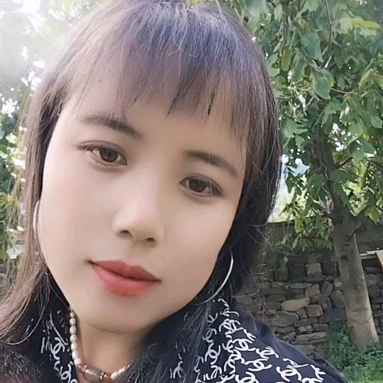 群措