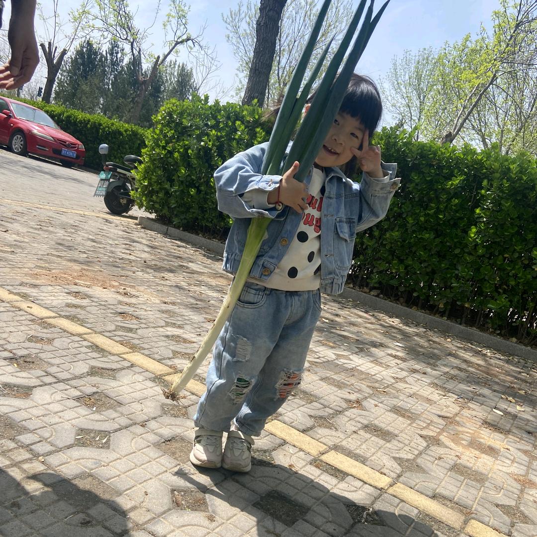 宁贝蔬菜（山东）