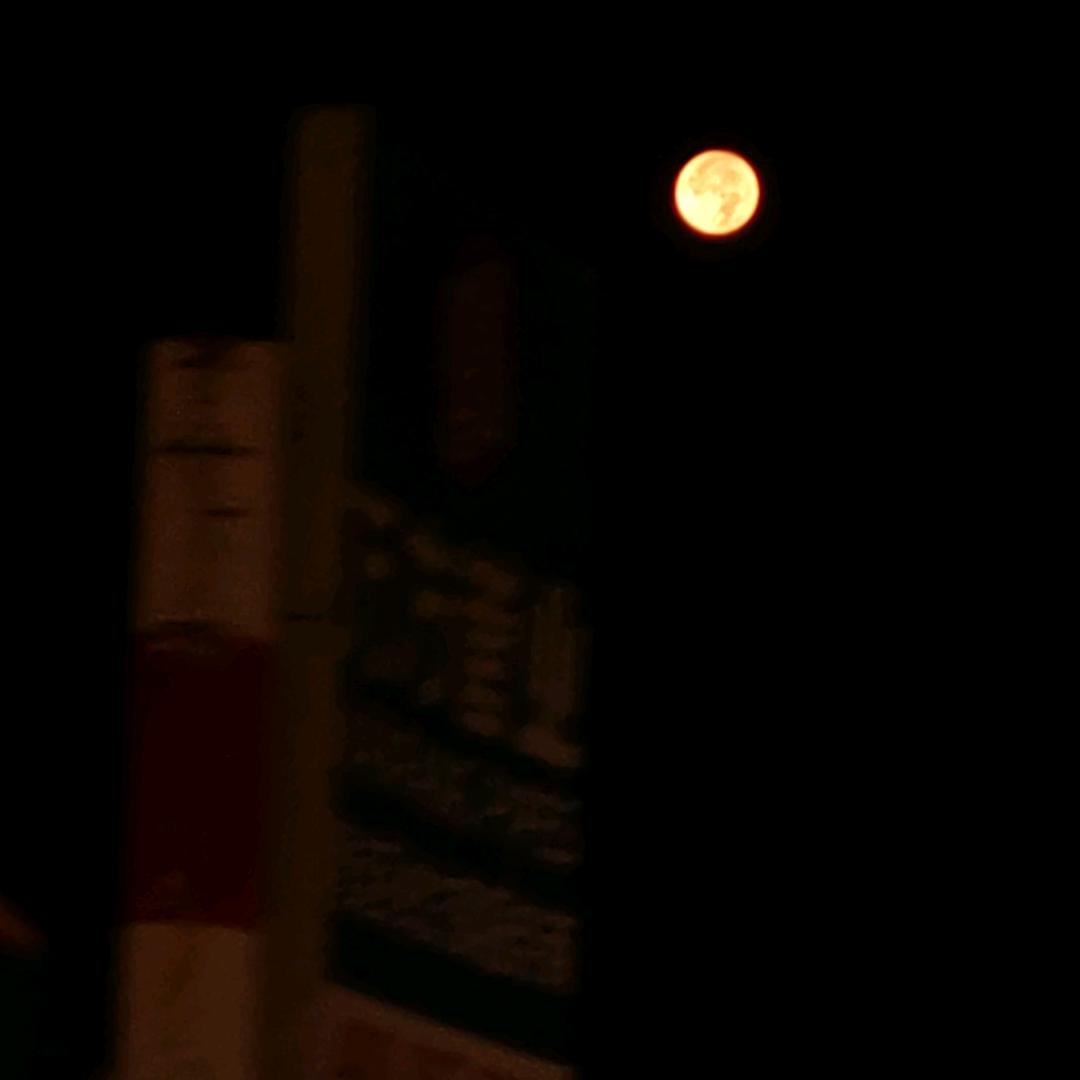 绿罐芬达已售罄