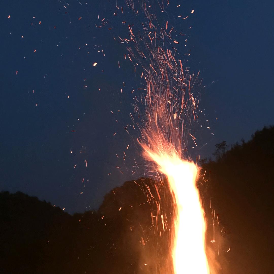 深圳最后一个老实人