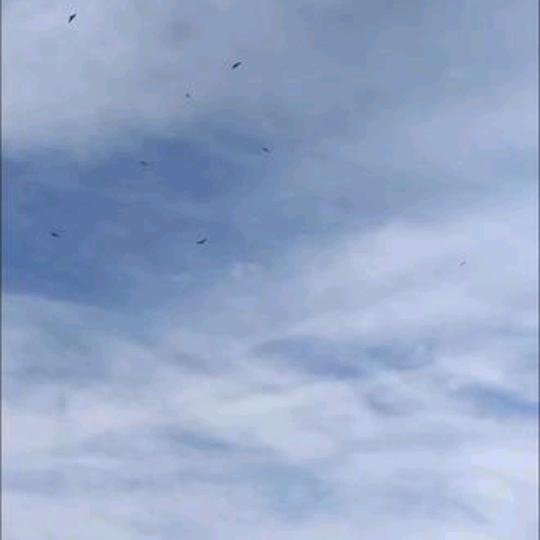 翱翔好物