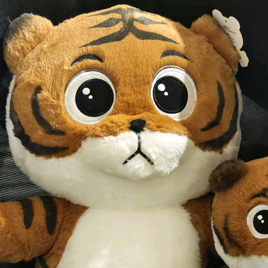 淳之茶🐯