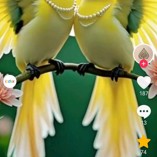 克克