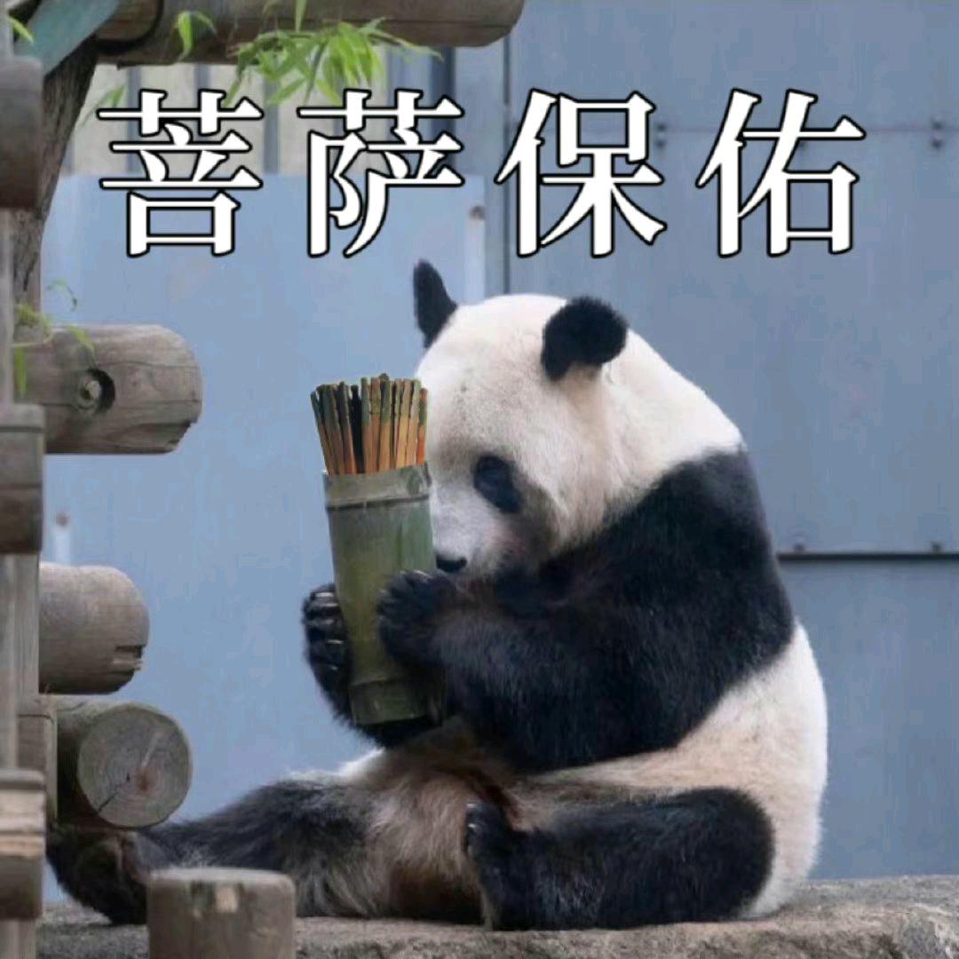 马六福