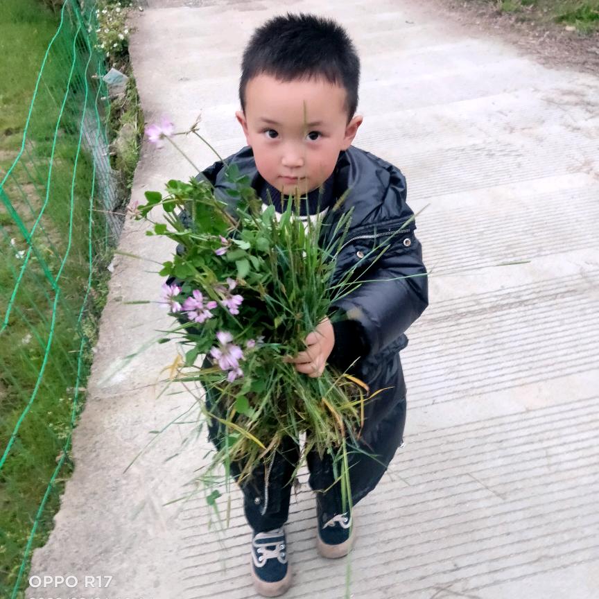 利达家电维修中心