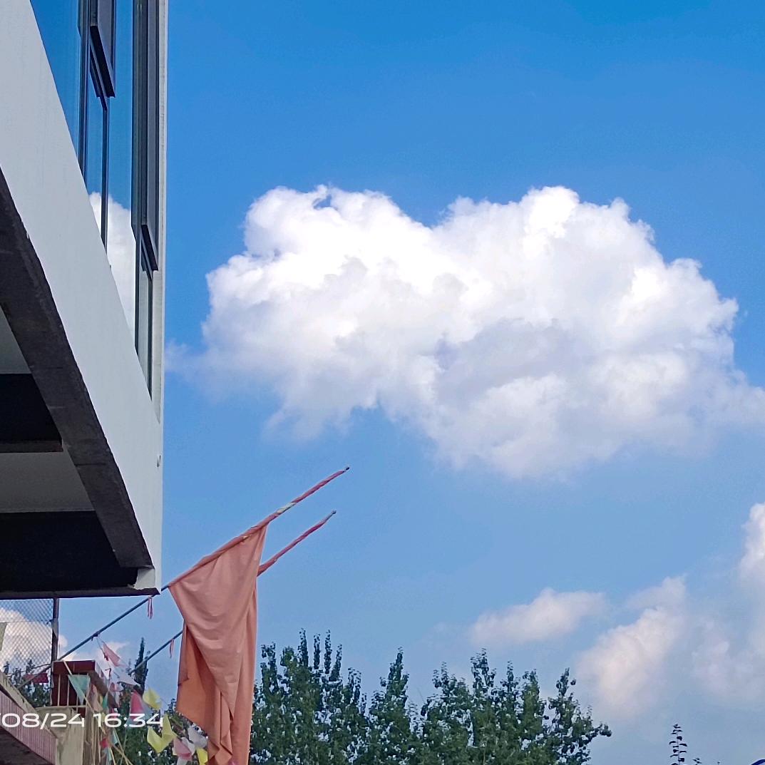 whisper/(毛茸茸版)