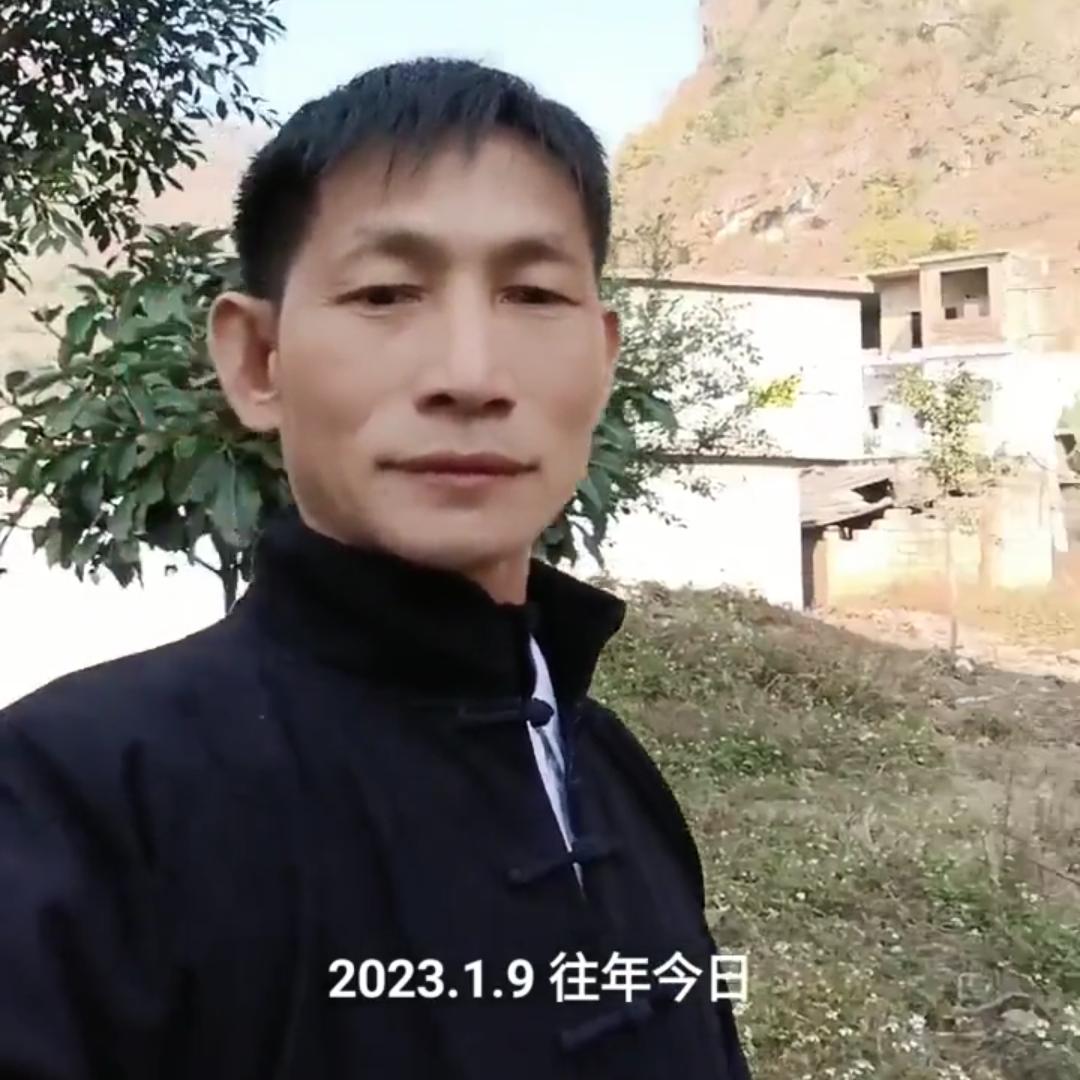 有情友义