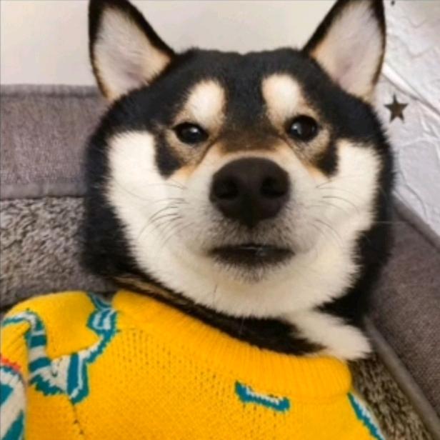 +