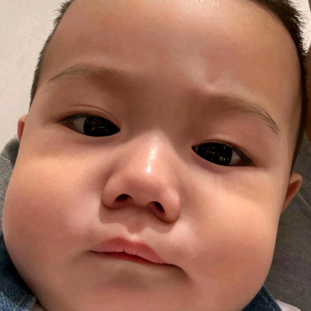 胡图图大战小灰灰