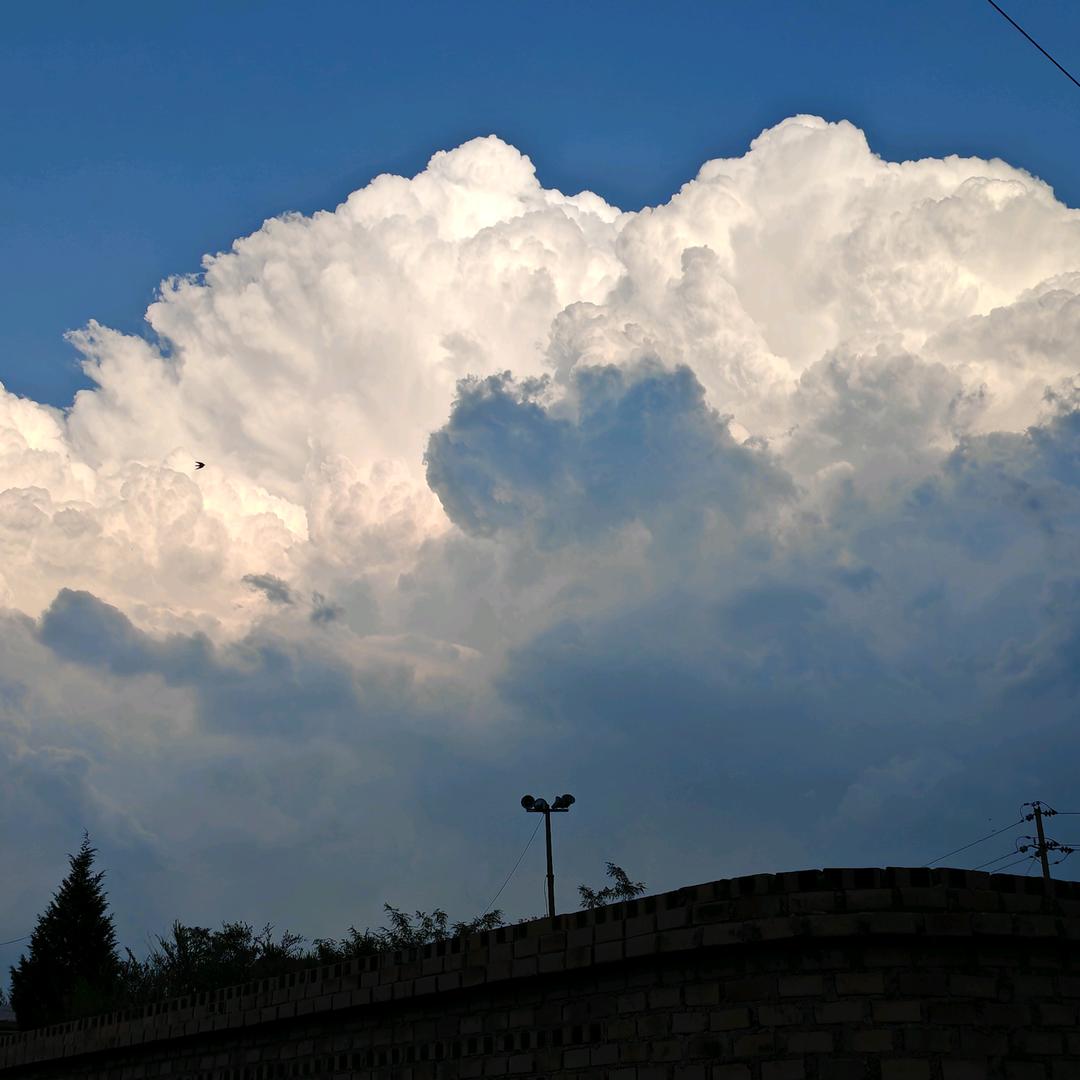 青梅浊酒论英雄