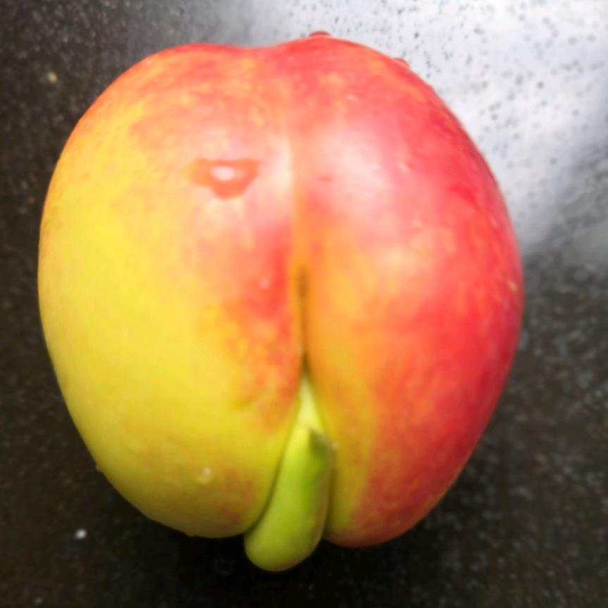 心缘之梦