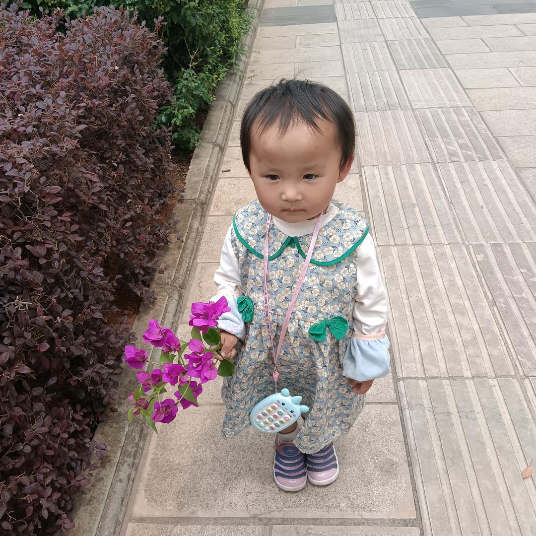 王克粉