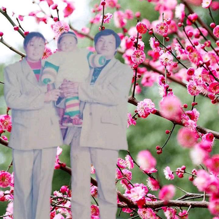 🌺🌺红珍🌺🌺《70年🐕》