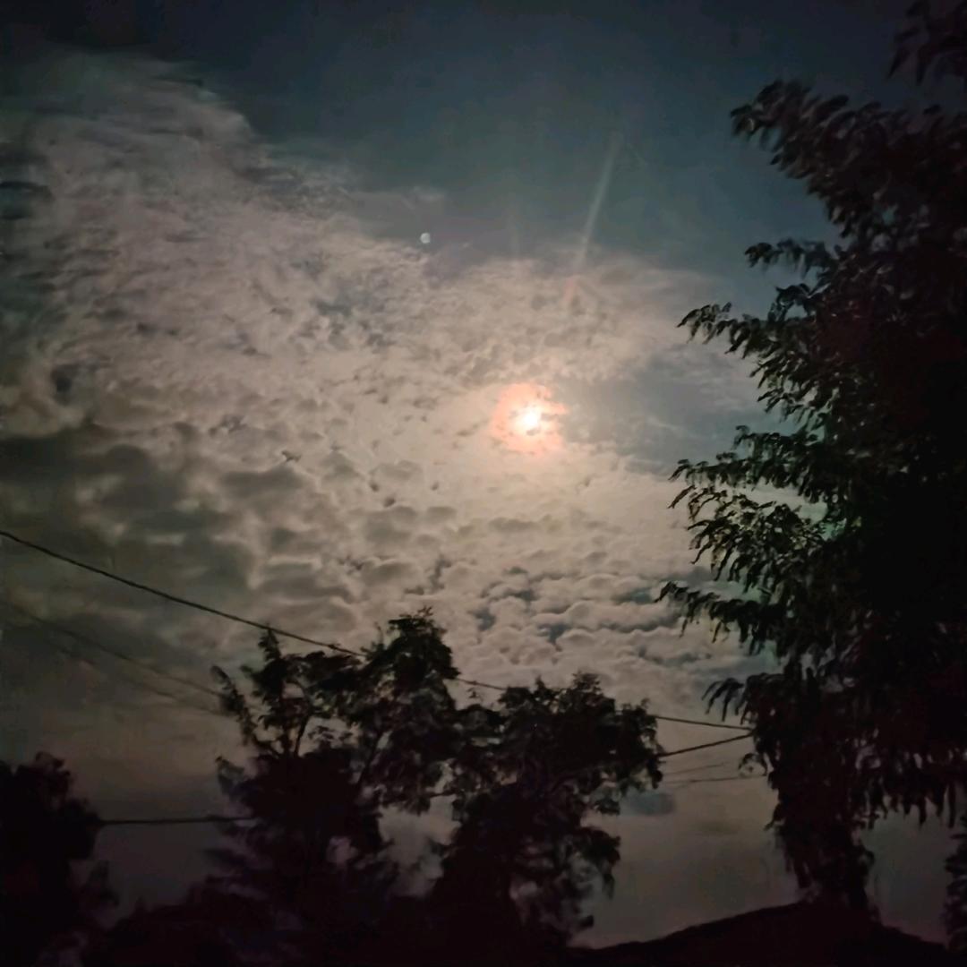 雷雷