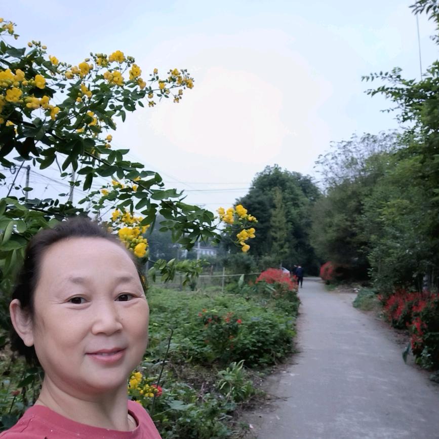 杨姐