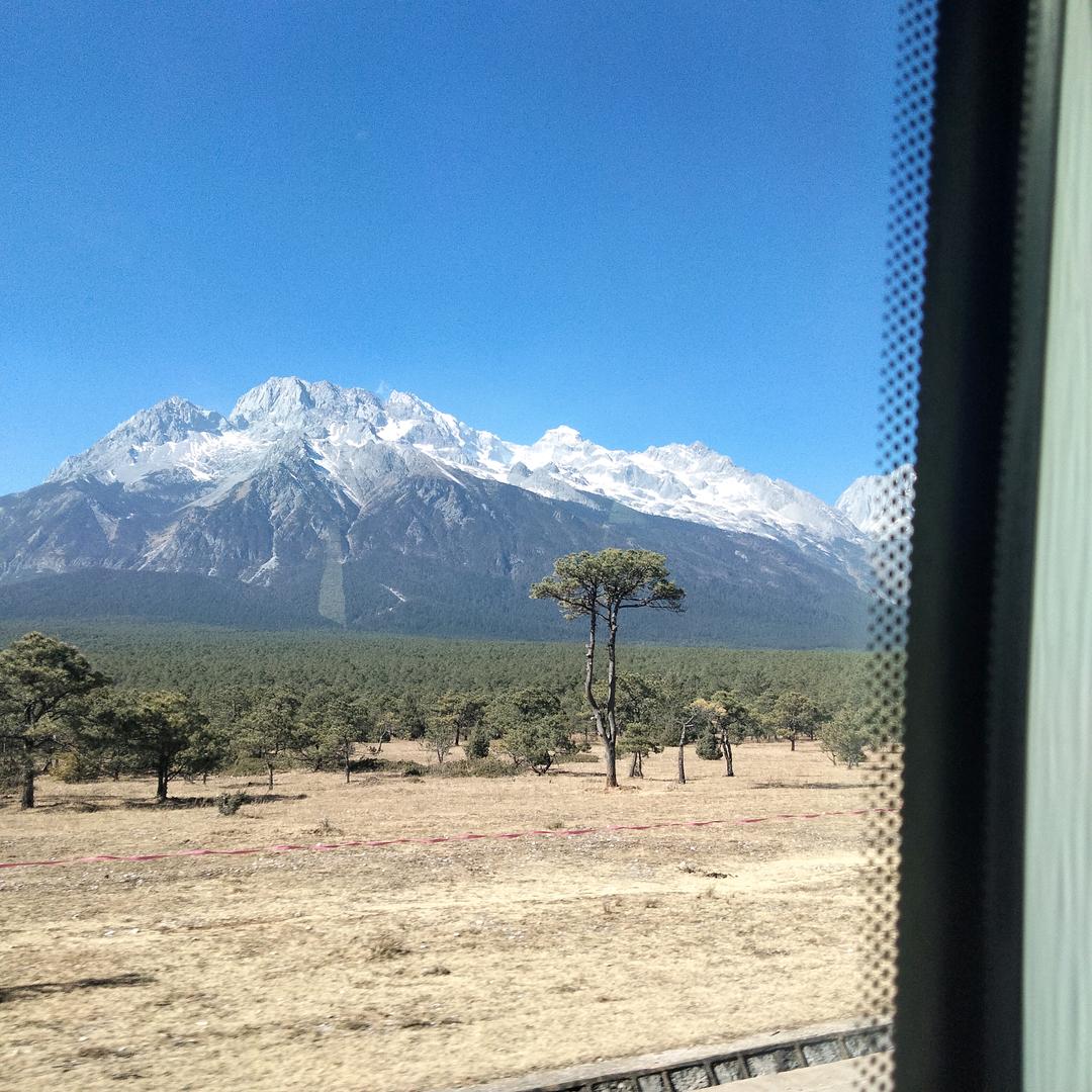 人生苦短，且行珍惜