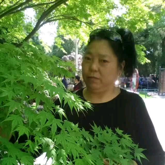 🇨🇳开心果:中国梦