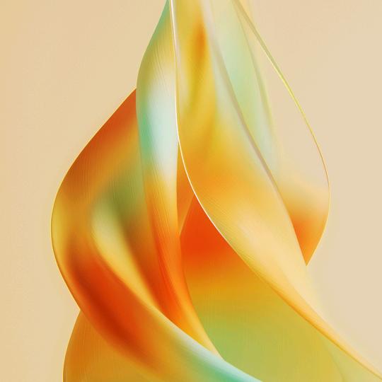 志