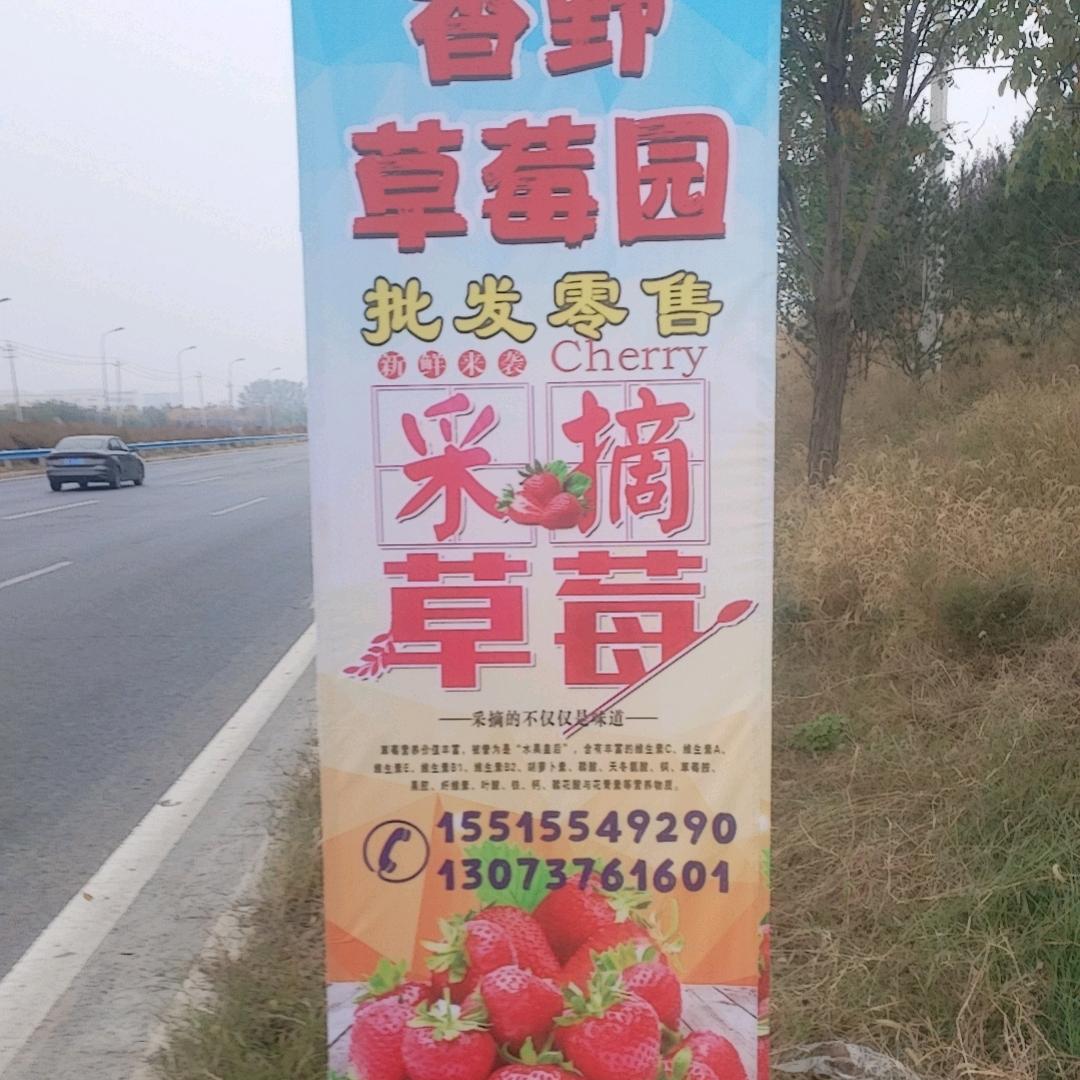 香野草莓采摘园官方号，