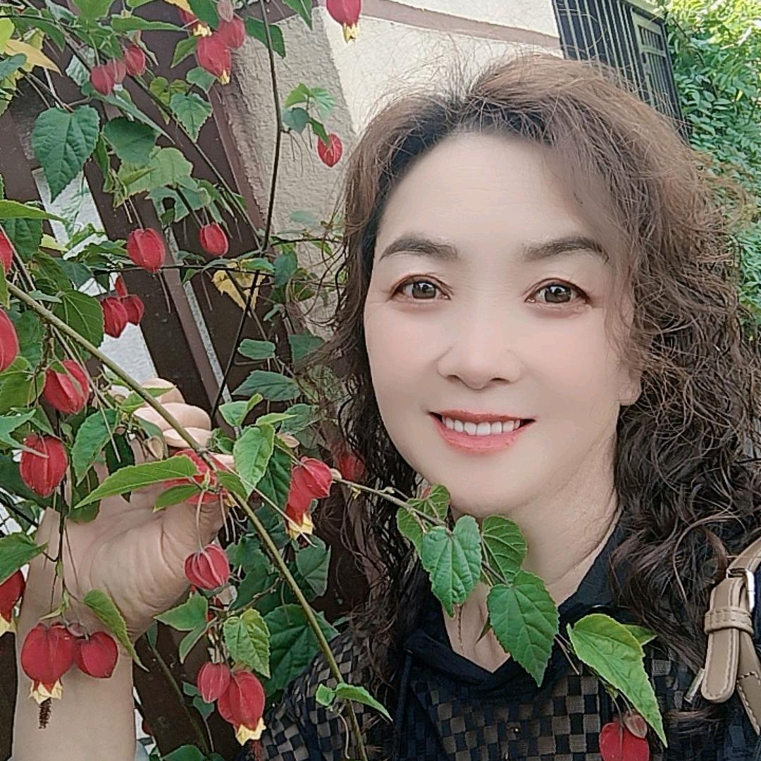 枫林红叶