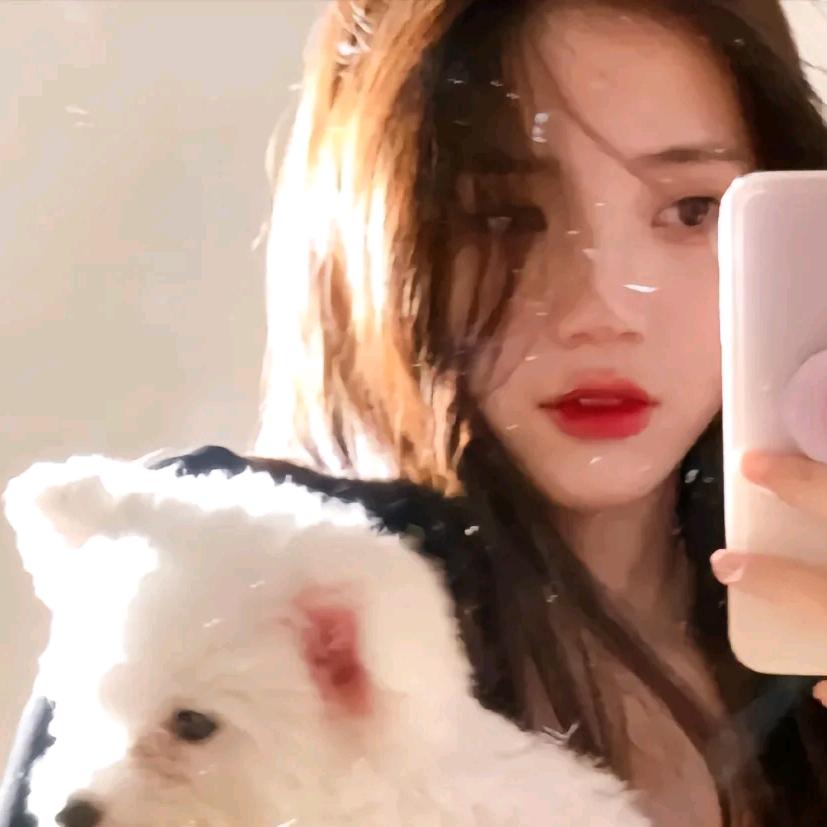 ˗ˋˏᰔᩚˎˊ˗