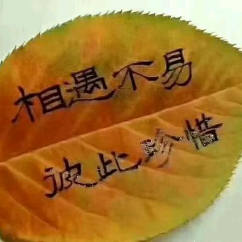 小阁子