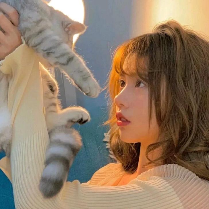 油咖喱猪 油咖喱加