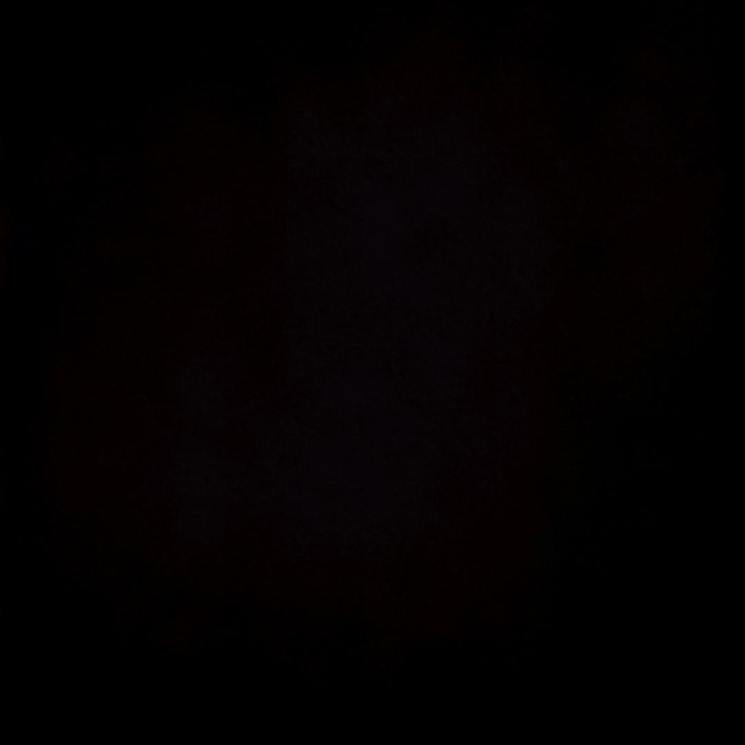 单调期