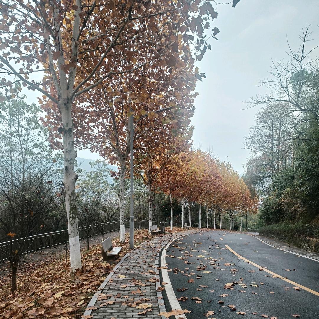 花姑娘吖🌸🌸