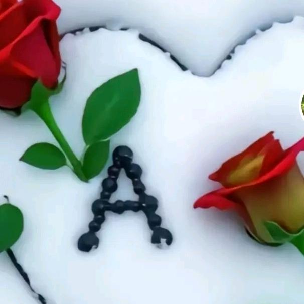 ayxamgul 😘
