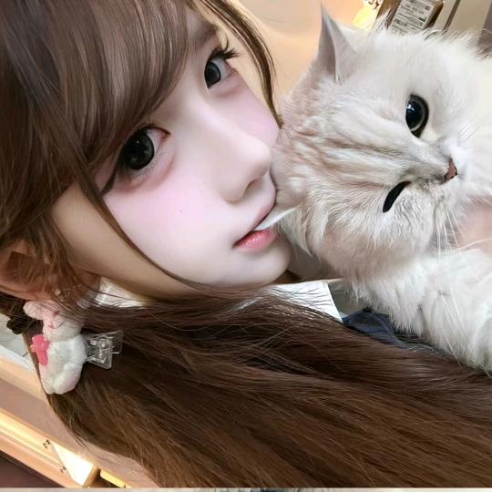 歪歪t.