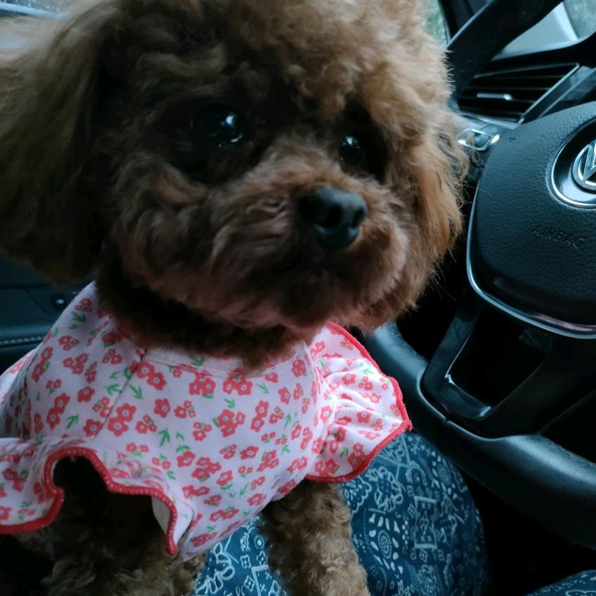 开心❤️❤️❤️