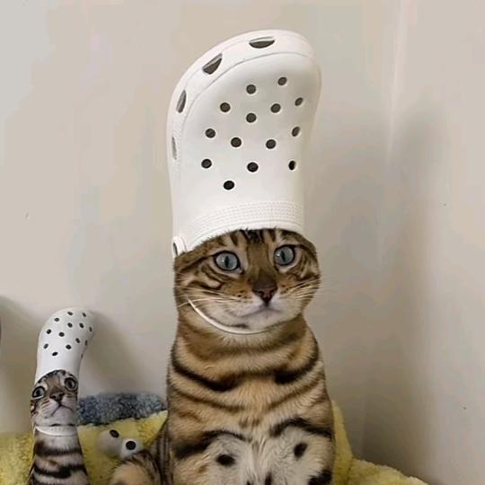Ha！