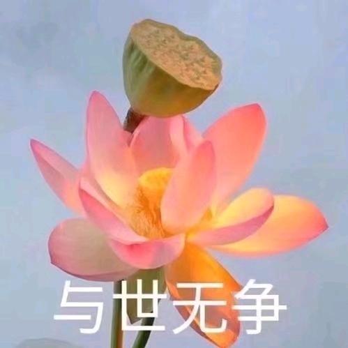 😘✺◟ 云朵❤️