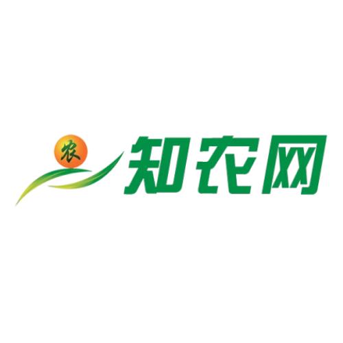 知农网