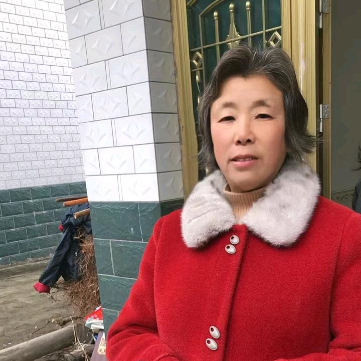 梅花爱短剧
