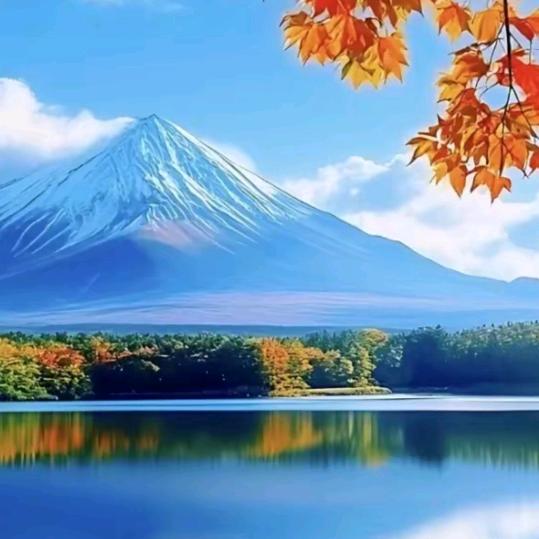 枫叶