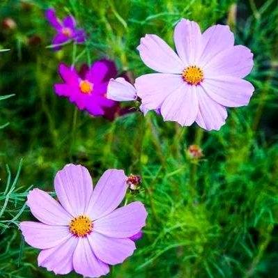 每一段路、都是一种领悟