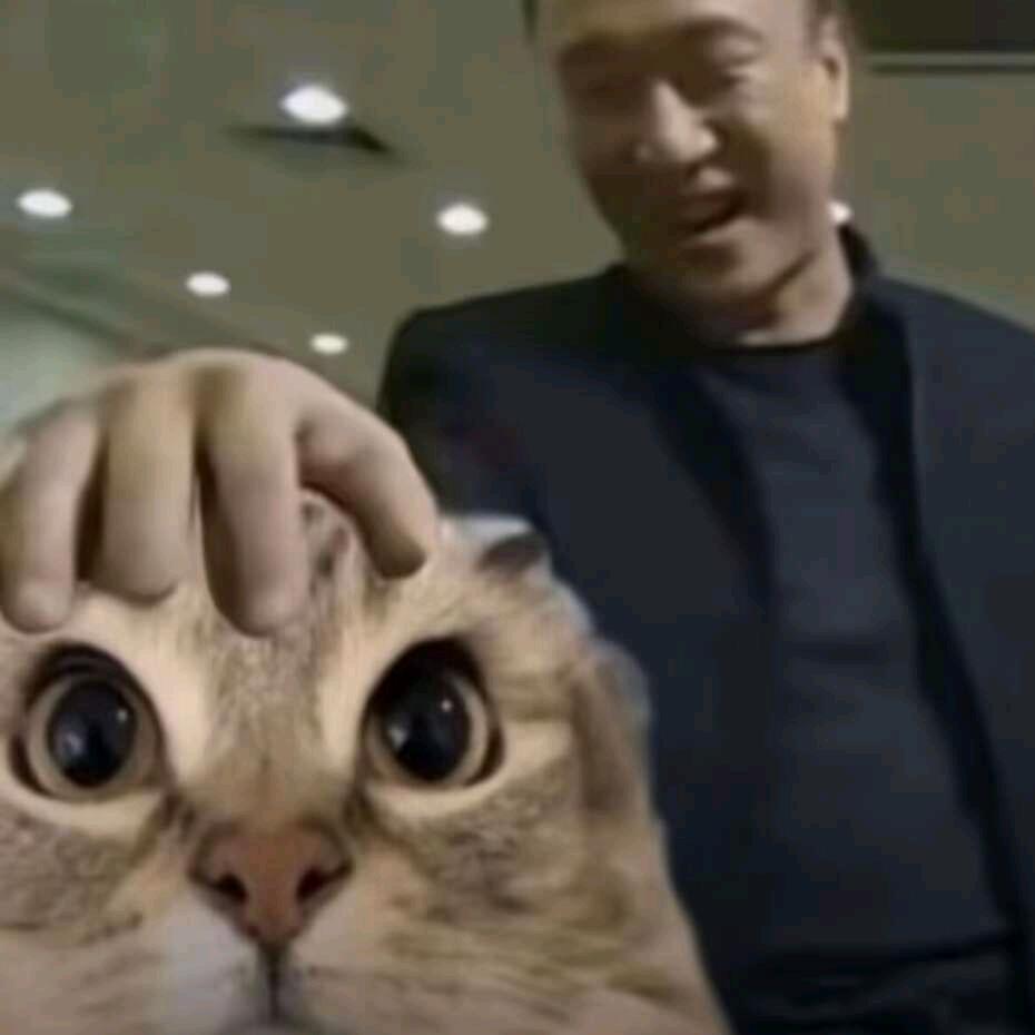 AAA翻斗花园宝宝22